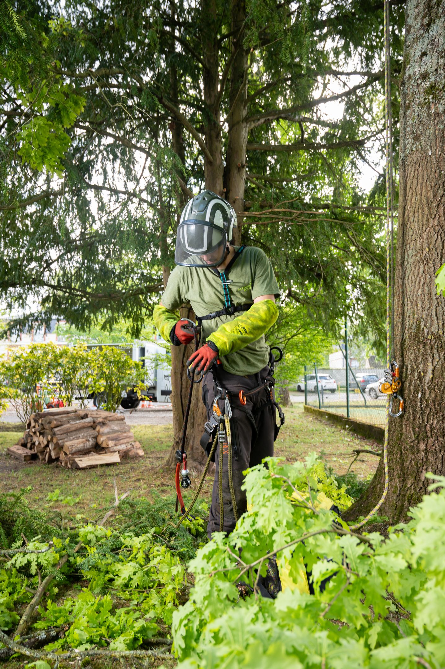 Nos arboristes au service de vos arbres